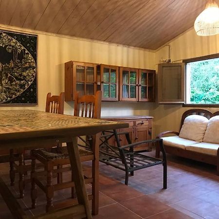 Els Avets De La Muga Bed & Breakfast Sant Llorenc de la Muga Dış mekan fotoğraf