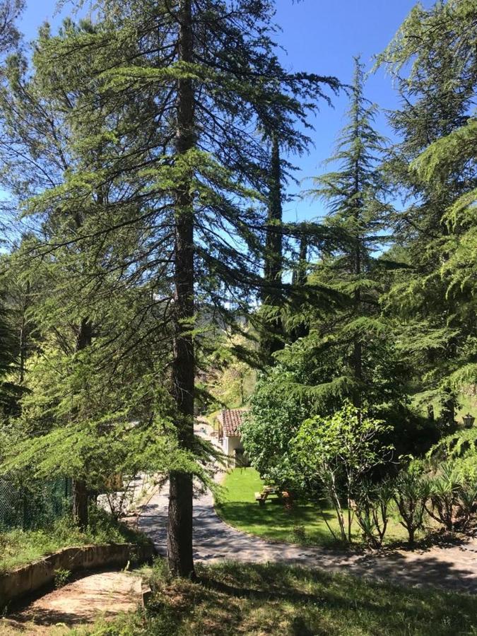 Els Avets De La Muga Bed & Breakfast Sant Llorenc de la Muga Dış mekan fotoğraf