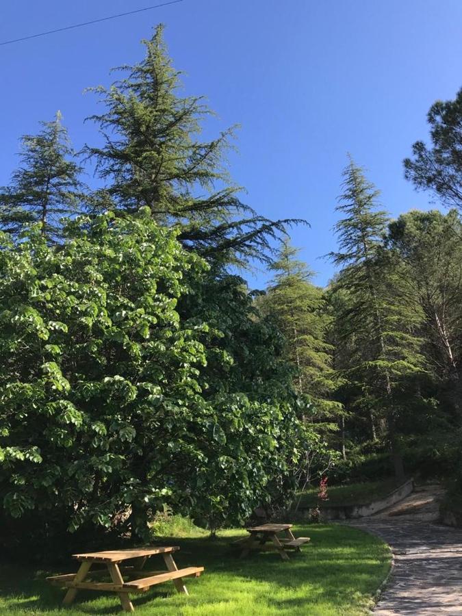 Els Avets De La Muga Bed & Breakfast Sant Llorenc de la Muga Dış mekan fotoğraf