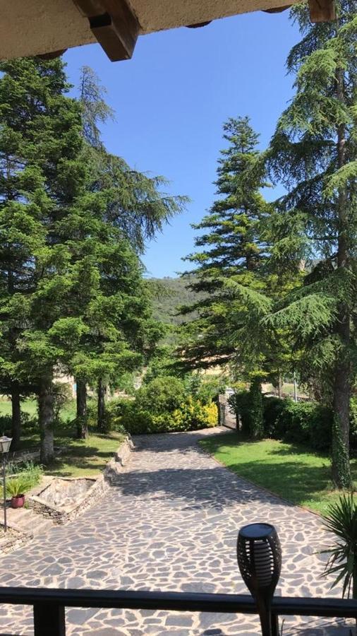 Els Avets De La Muga Bed & Breakfast Sant Llorenc de la Muga Dış mekan fotoğraf