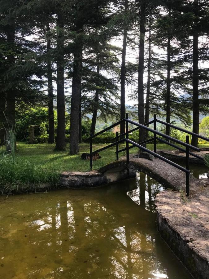 Els Avets De La Muga Bed & Breakfast Sant Llorenc de la Muga Dış mekan fotoğraf